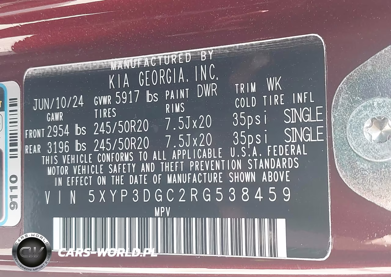 2024 Kia Telluride Ex X-Line VIN:5XYP3DGC2RG538459 - 9
