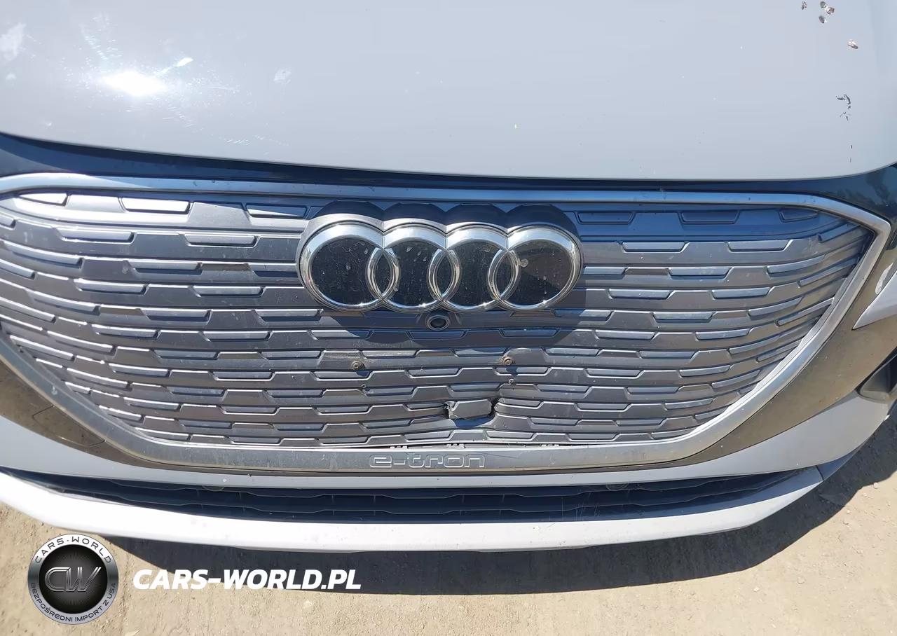 2023 Audi Q4 E-Tron Premium Plus 40 Rwd VIN:WA1BCBFZ3PP005917 - 22