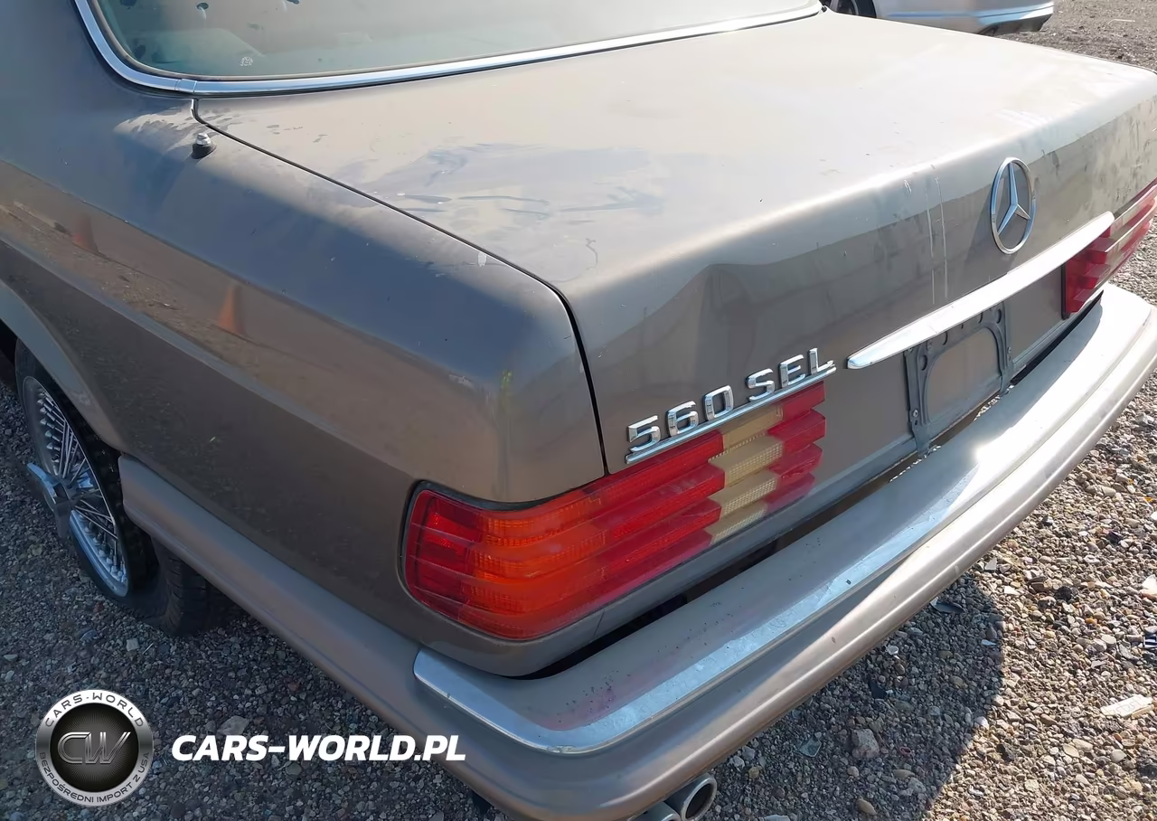 1987 Mercedes-Benz 560 Sel VIN:WDBCA39D3HA348316 - 6