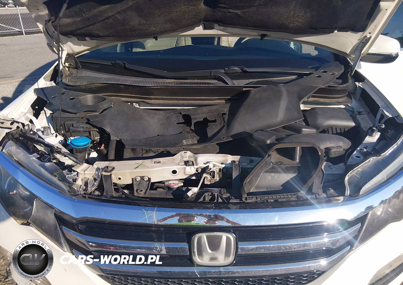 2016 Honda Pilot Elite VIN:5FNYF6H01GB106610 - 10