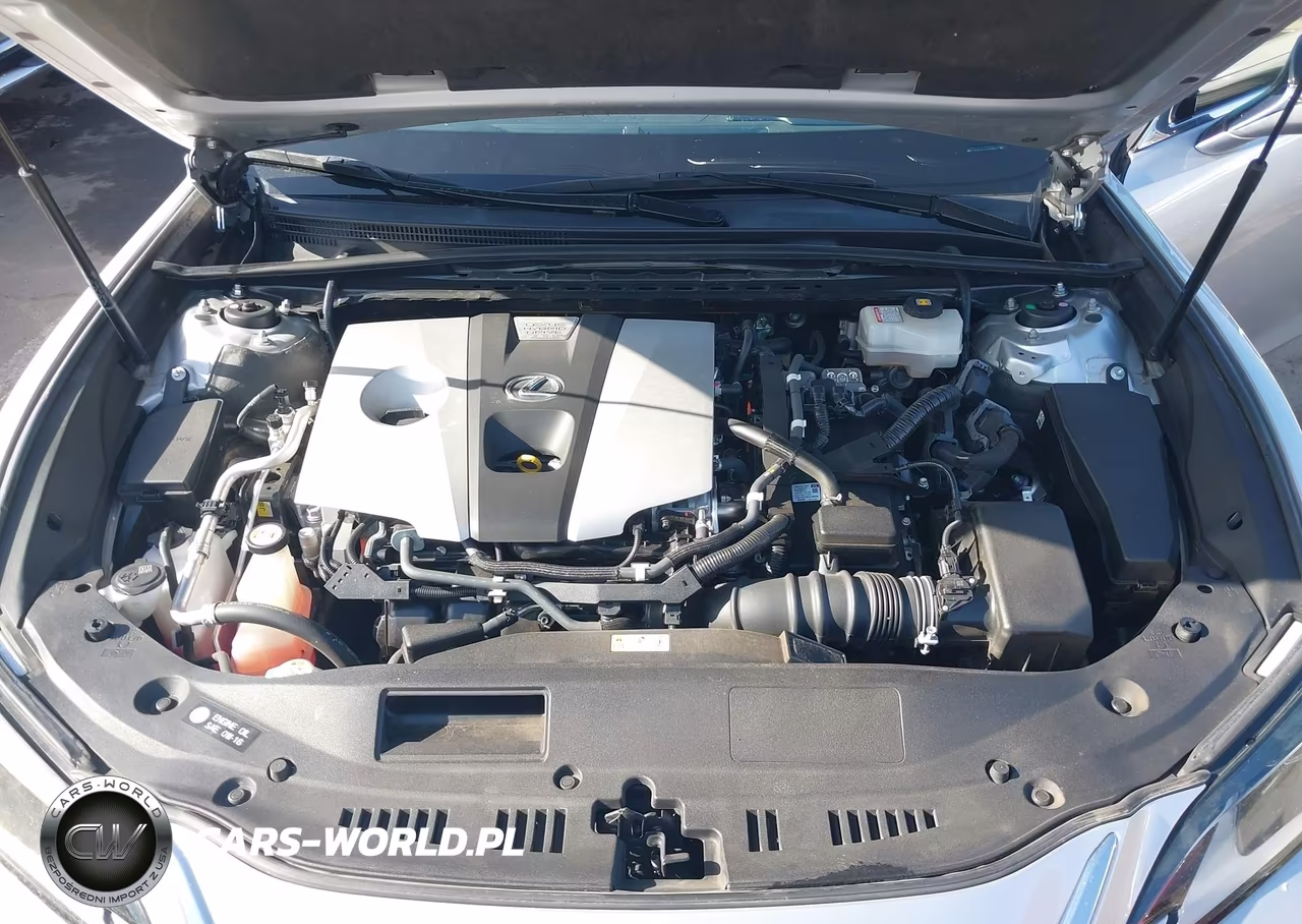 2019 Lexus Es 300H VIN:JTHB21B16K2023433 - 10