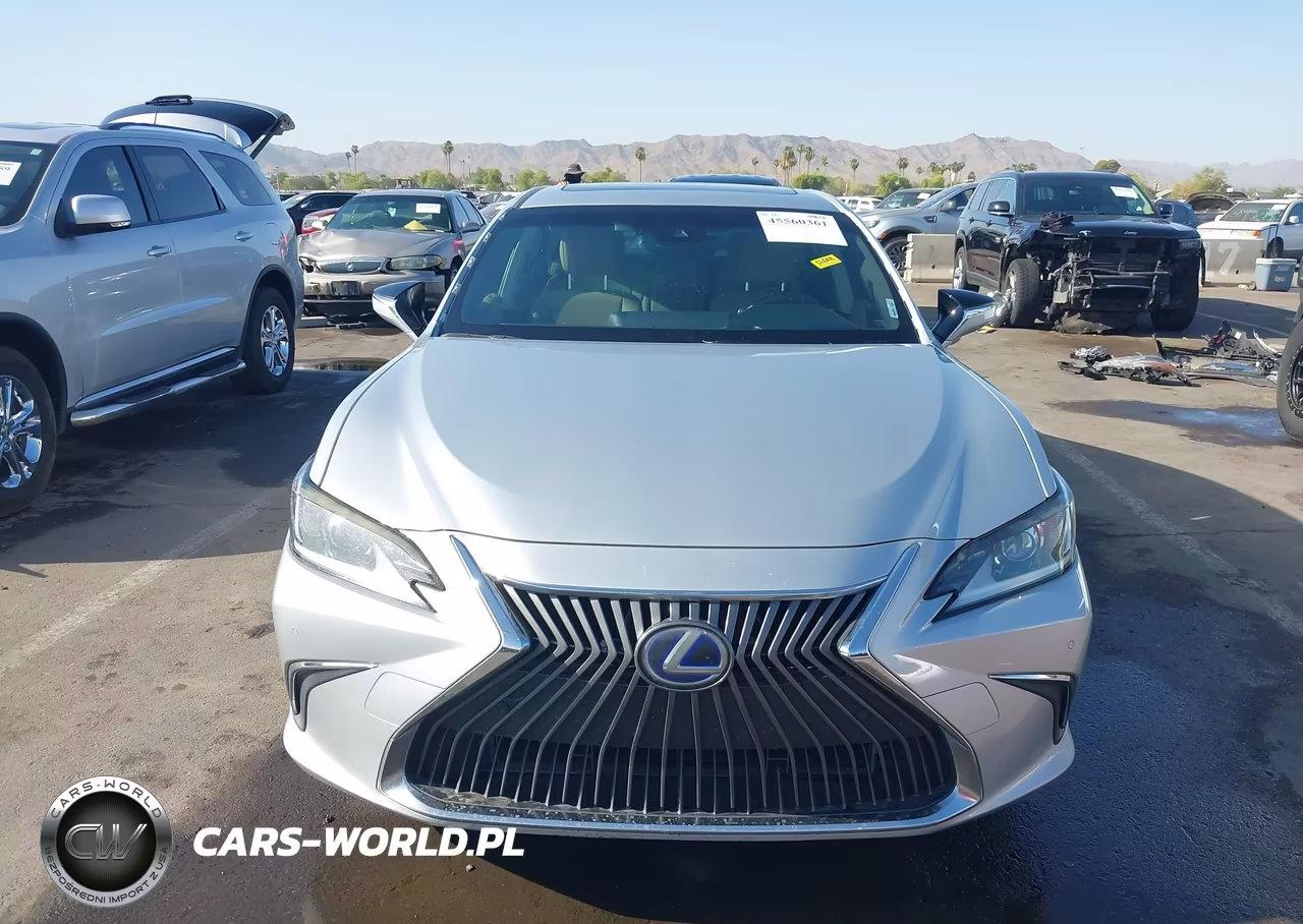 2019 Lexus Es 300H VIN:JTHB21B16K2023433 - 13