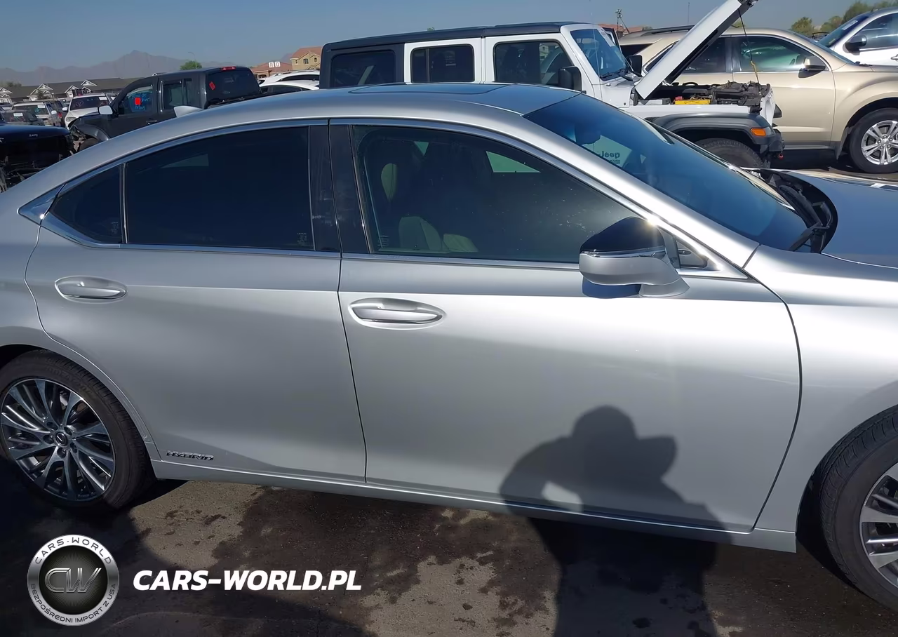 2019 Lexus Es 300H VIN:JTHB21B16K2023433 - 14