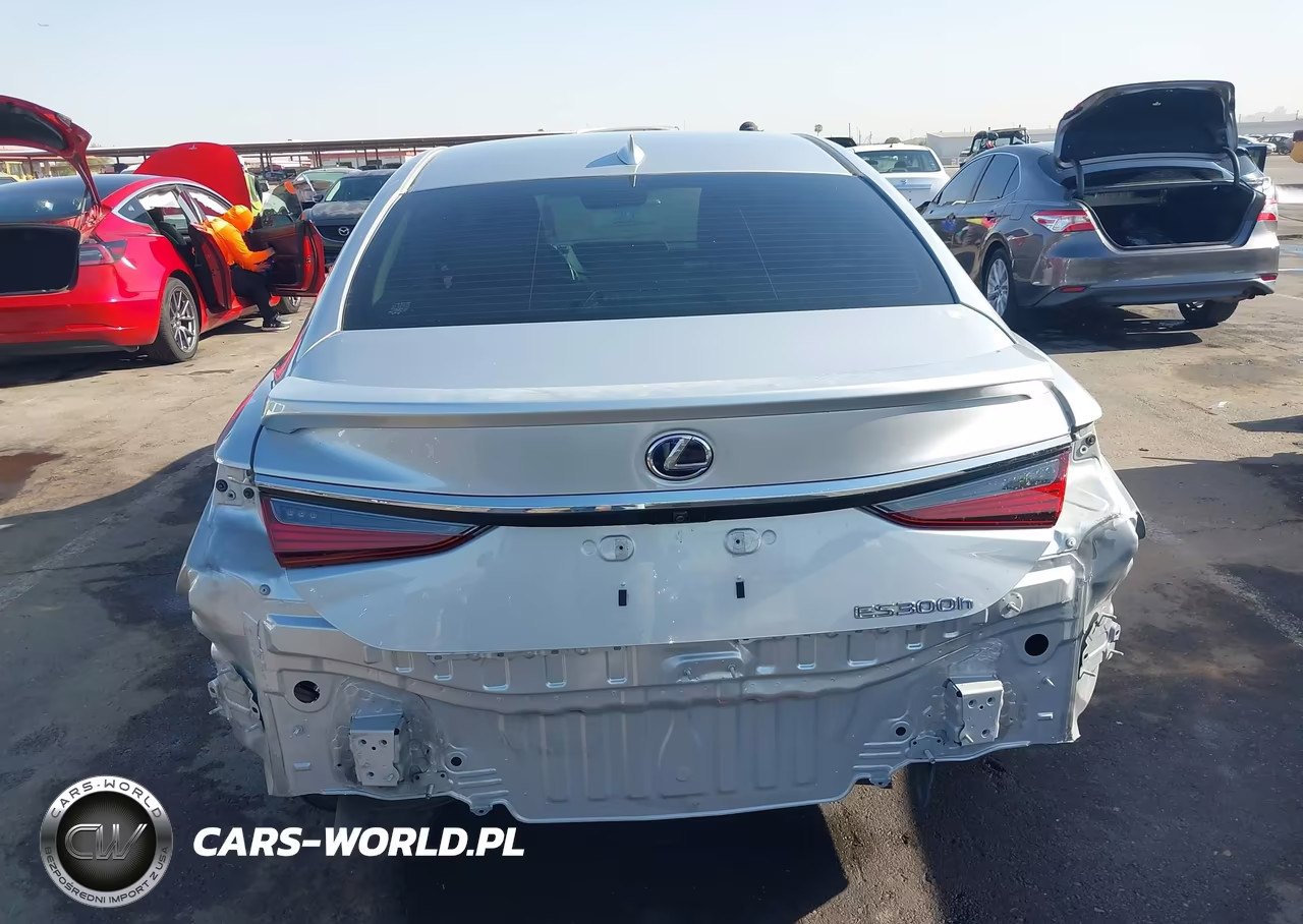 2019 Lexus Es 300H VIN:JTHB21B16K2023433 - 17