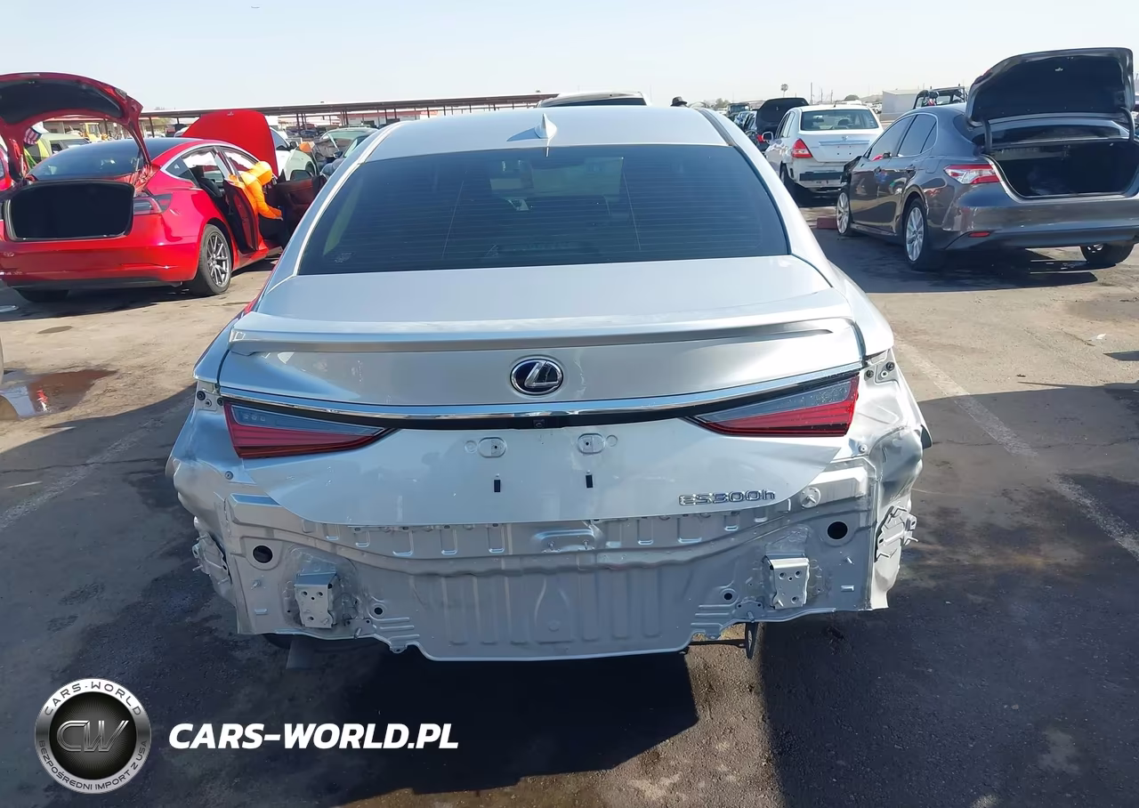 2019 Lexus Es 300H VIN:JTHB21B16K2023433 - 6