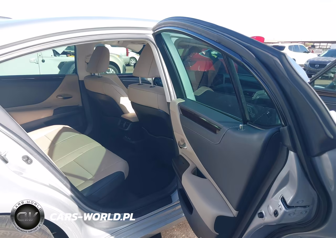 2019 Lexus Es 300H VIN:JTHB21B16K2023433 - 8