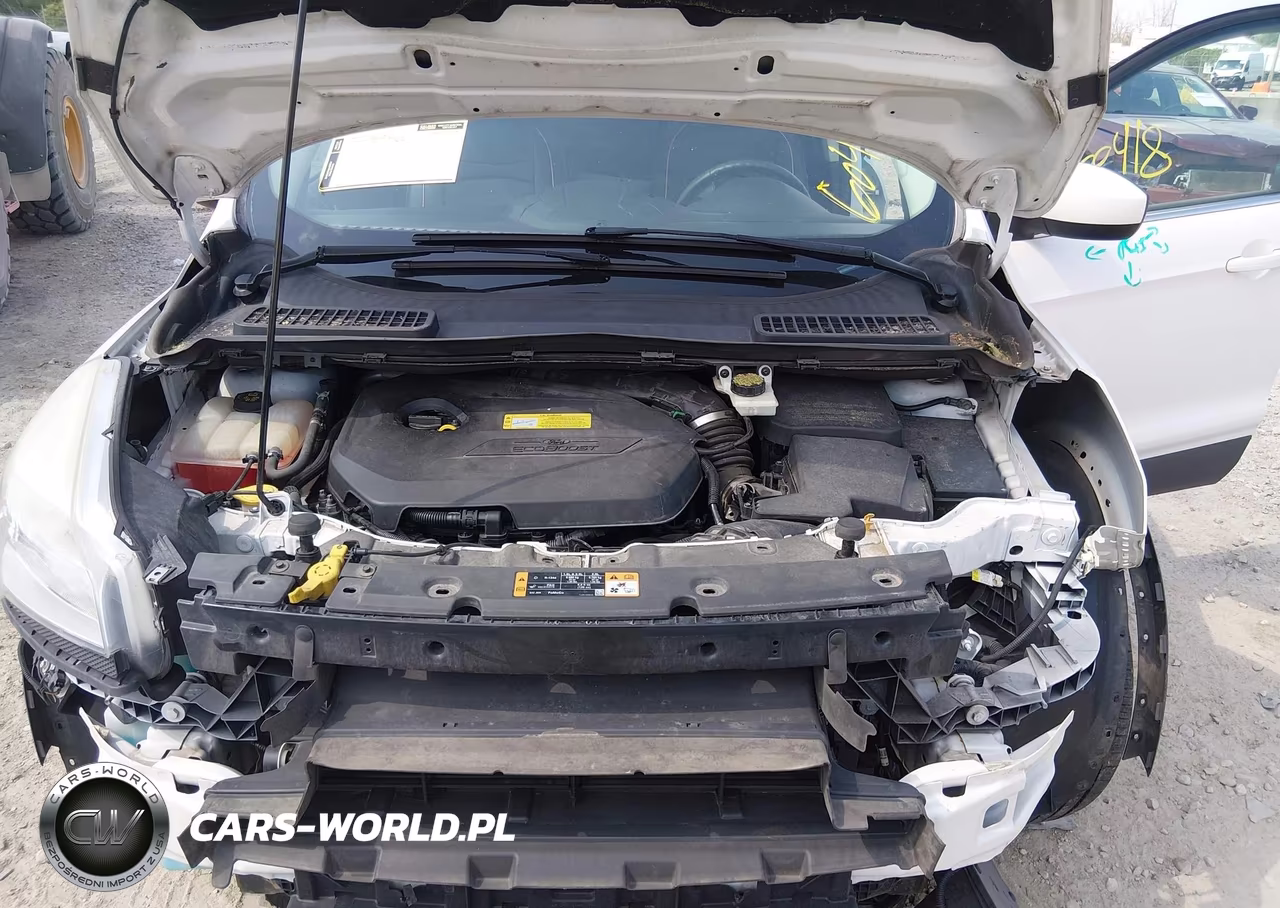 2014 Ford Escape Se VIN:1FMCU9GX6EUB11527 - 10