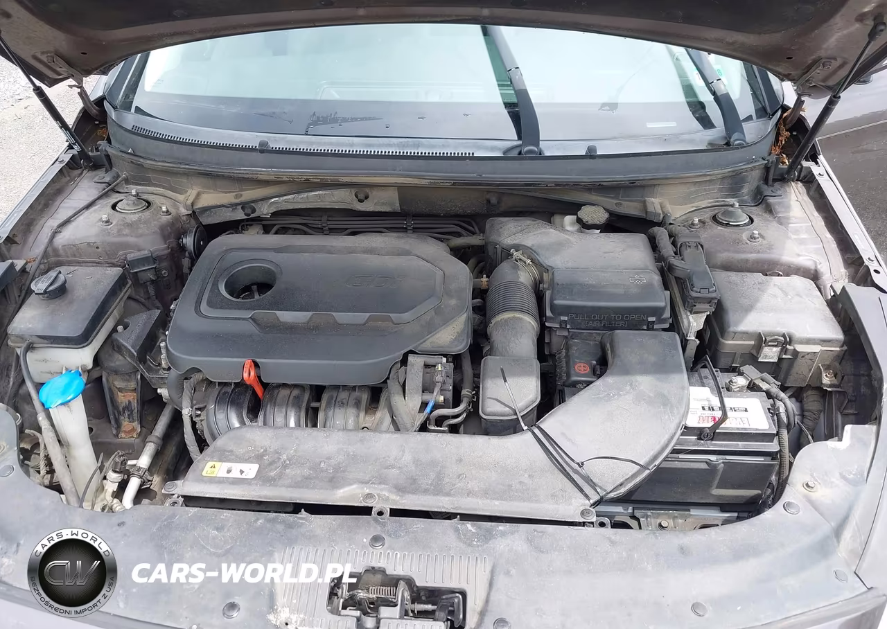 2016 Hyundai Sonata Sport VIN:5NPE34AF8GH396666 - 10