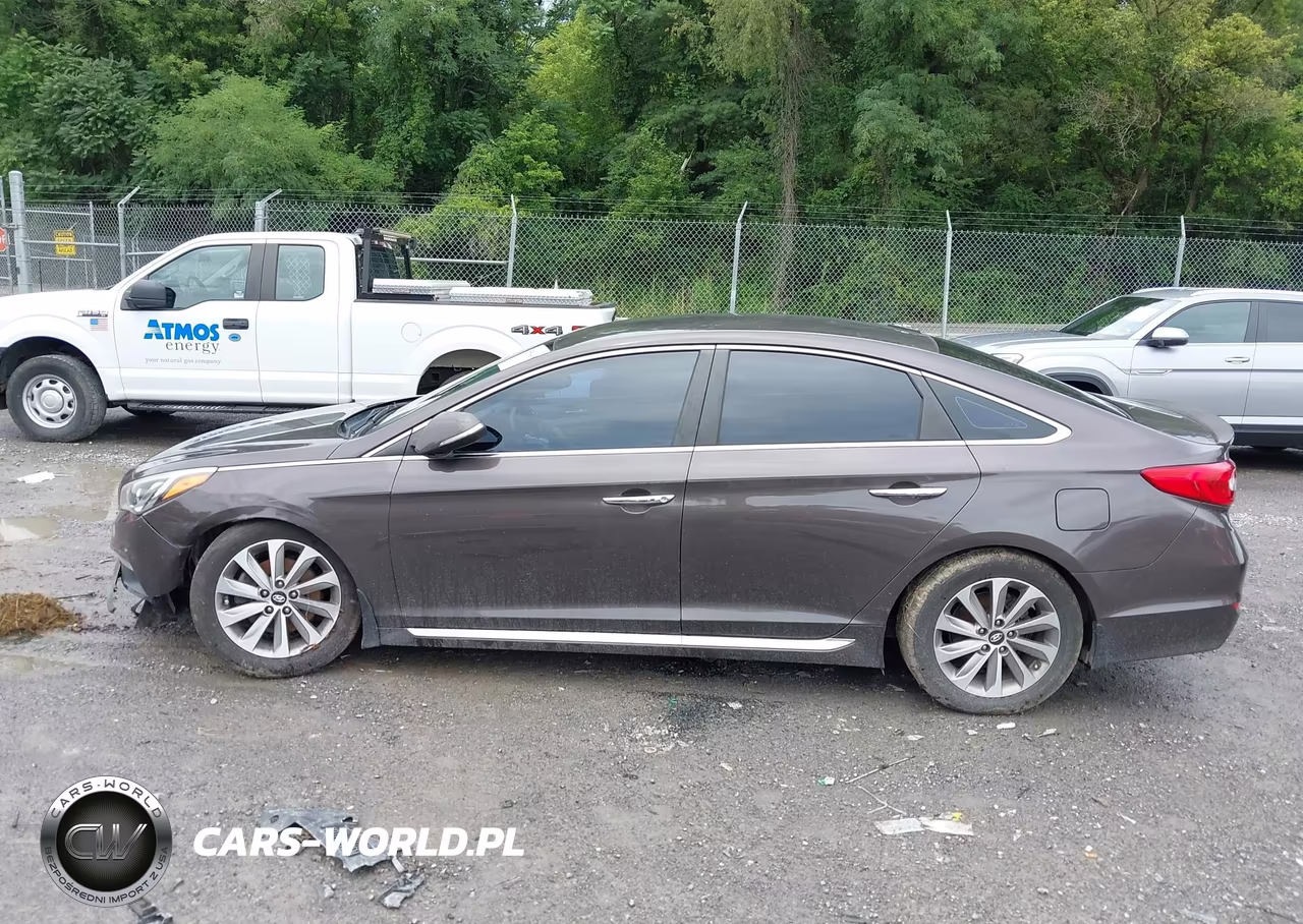 2016 Hyundai Sonata Sport VIN:5NPE34AF8GH396666 - 14
