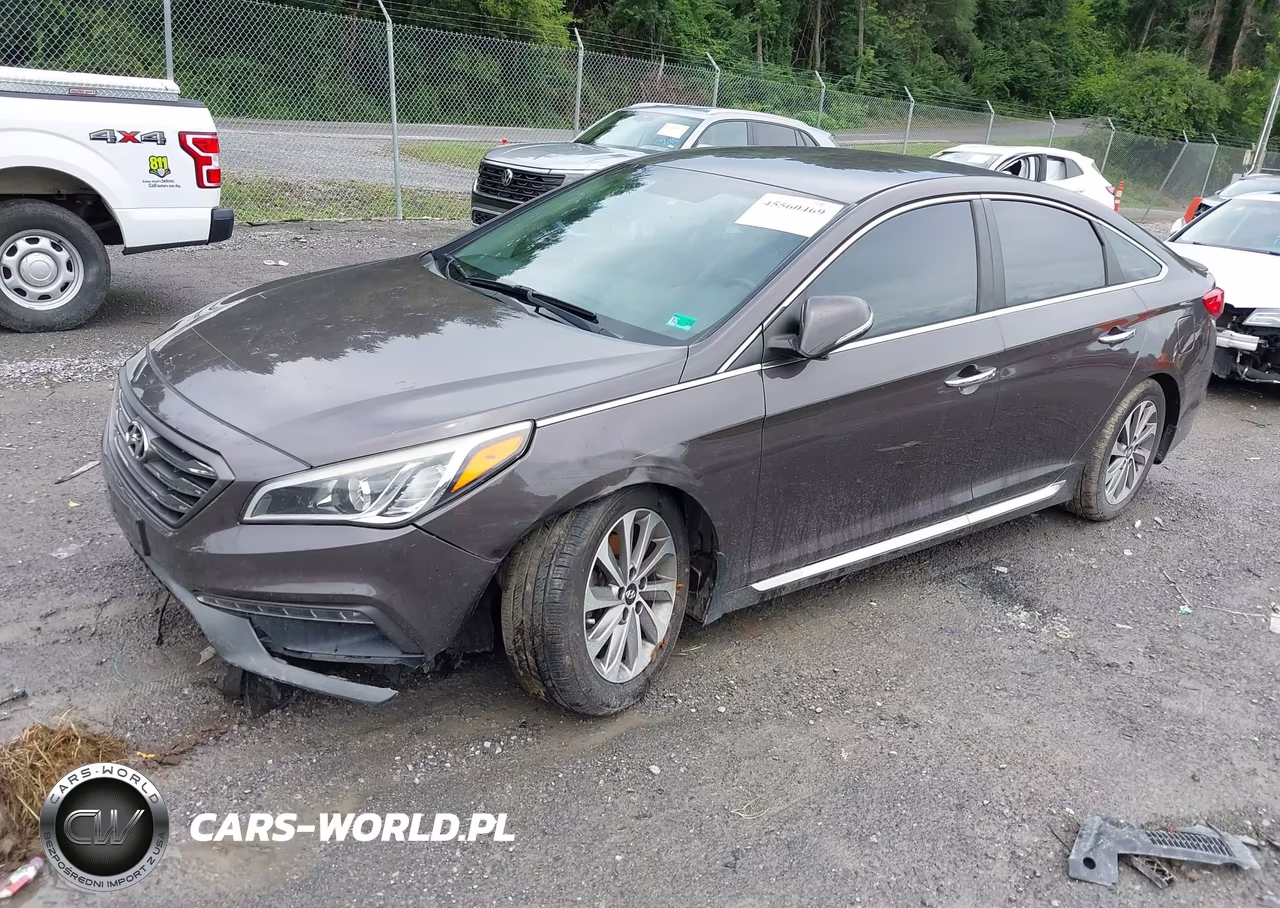 2016 Hyundai Sonata Sport VIN:5NPE34AF8GH396666 - 2