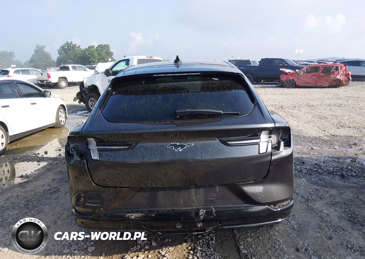 2021 Ford Mustang Mach-E Premium VIN:3FMTK3SU0MMA66460 - 17