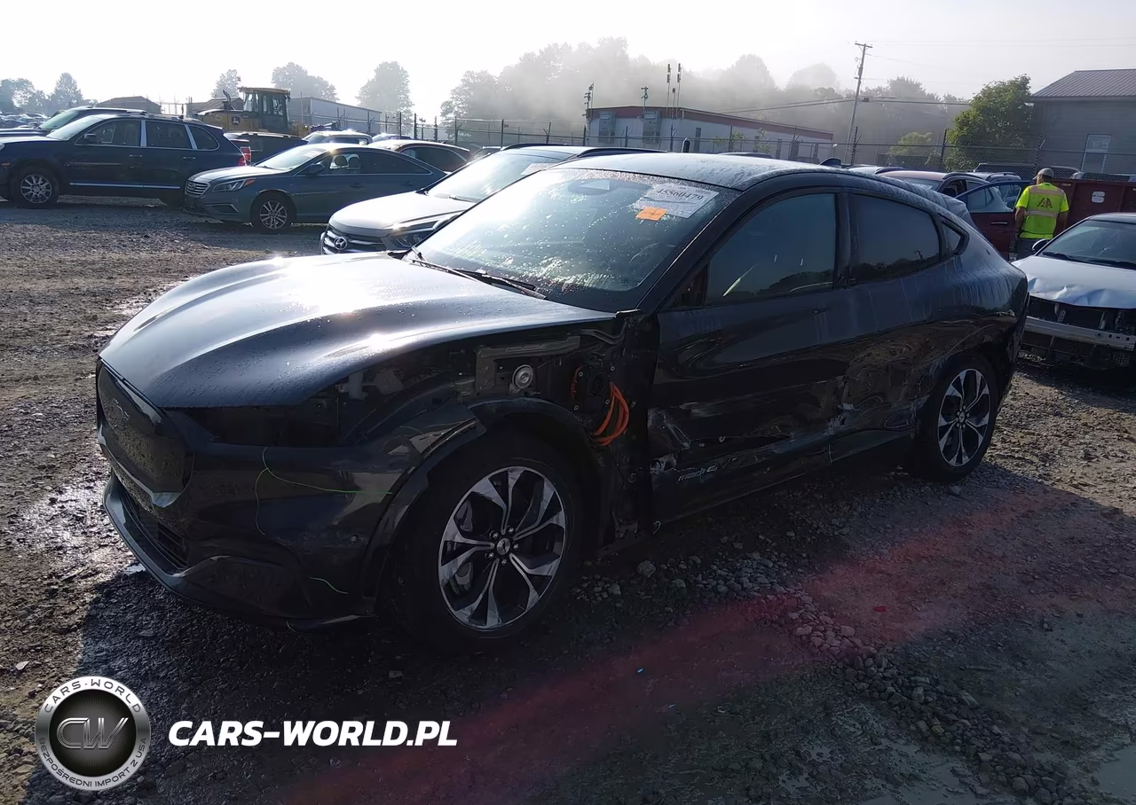 2021 Ford Mustang Mach-E Premium VIN:3FMTK3SU0MMA66460 - 2