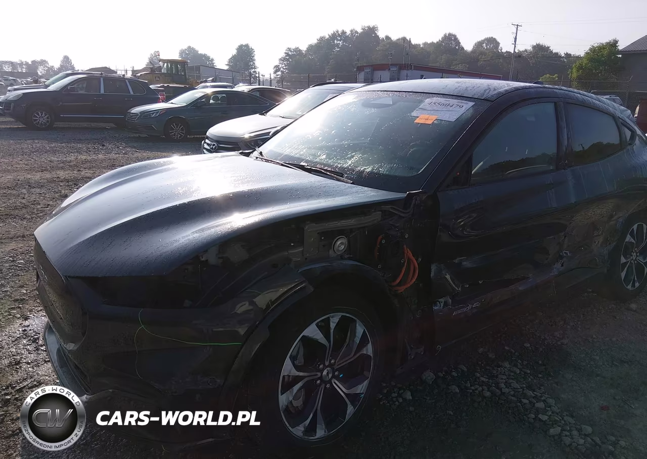 2021 Ford Mustang Mach-E Premium VIN:3FMTK3SU0MMA66460 - 6