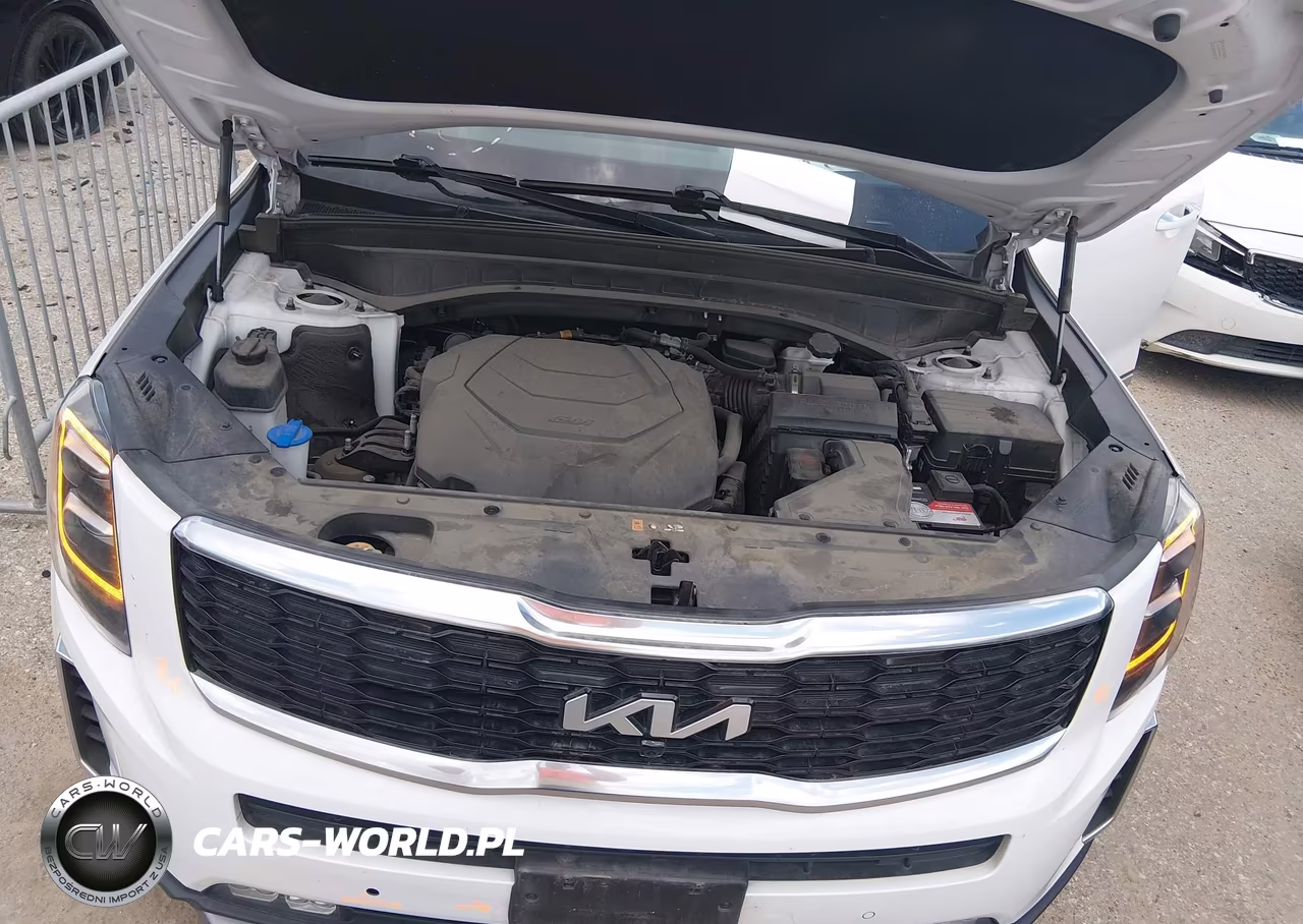 2022 Kia Telluride Sx VIN:5XYP54HC0NG311127 - 10