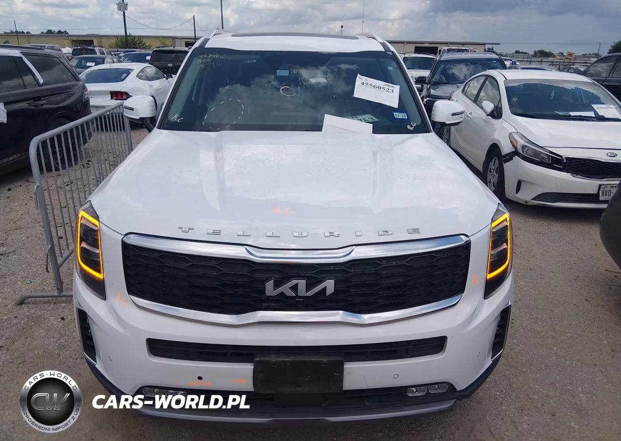 2022 Kia Telluride Sx VIN:5XYP54HC0NG311127 - 13