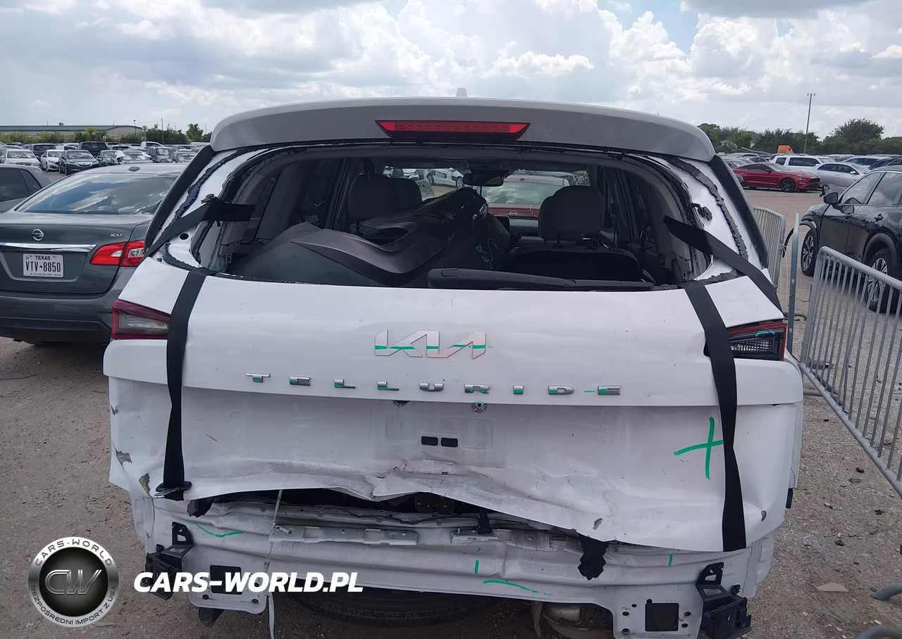 2022 Kia Telluride Sx VIN:5XYP54HC0NG311127 - 17