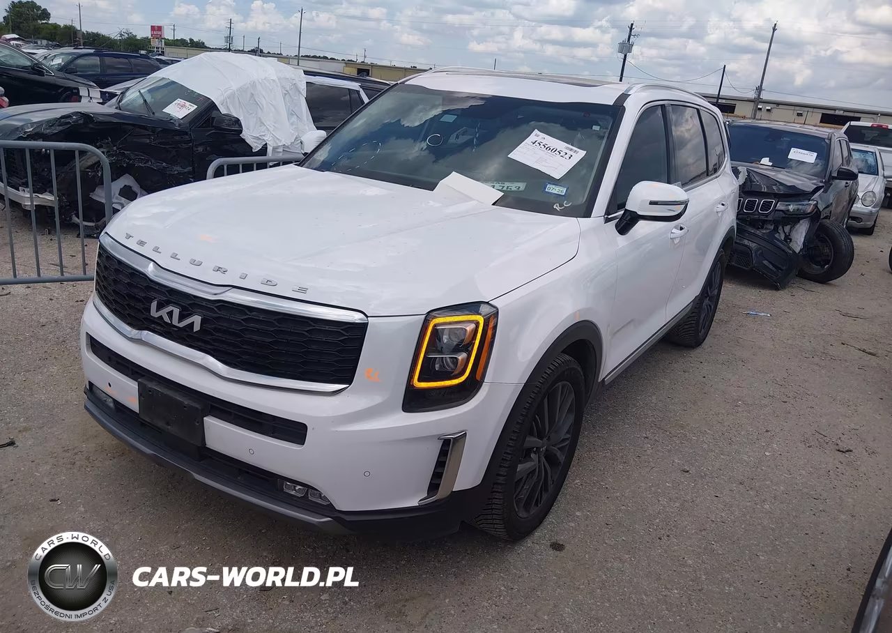 2022 Kia Telluride Sx VIN:5XYP54HC0NG311127 - 2