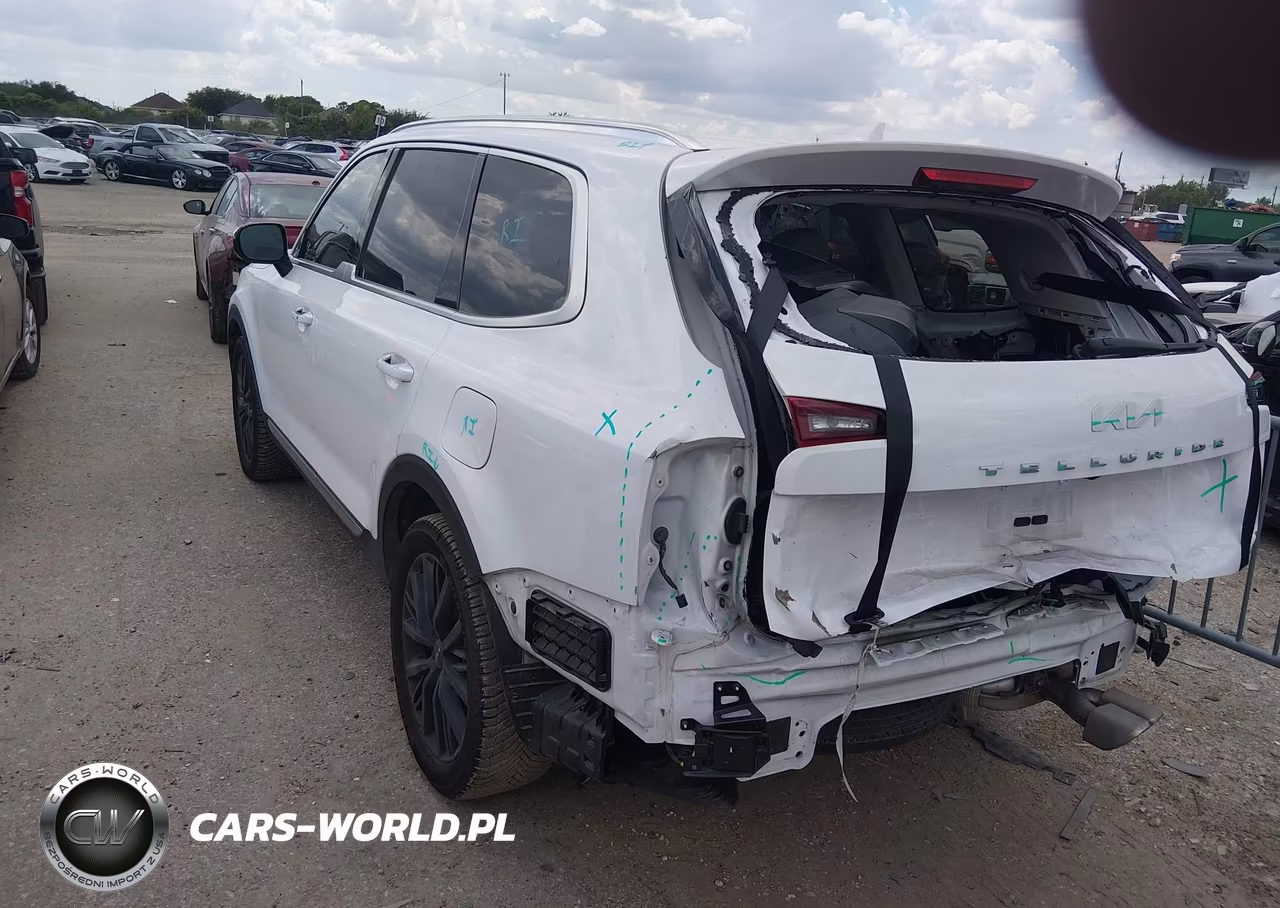 2022 Kia Telluride Sx VIN:5XYP54HC0NG311127 - 3