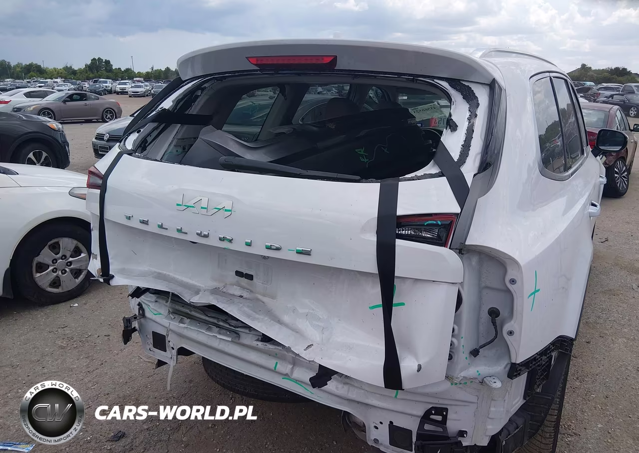 2022 Kia Telluride Sx VIN:5XYP54HC0NG311127 - 4