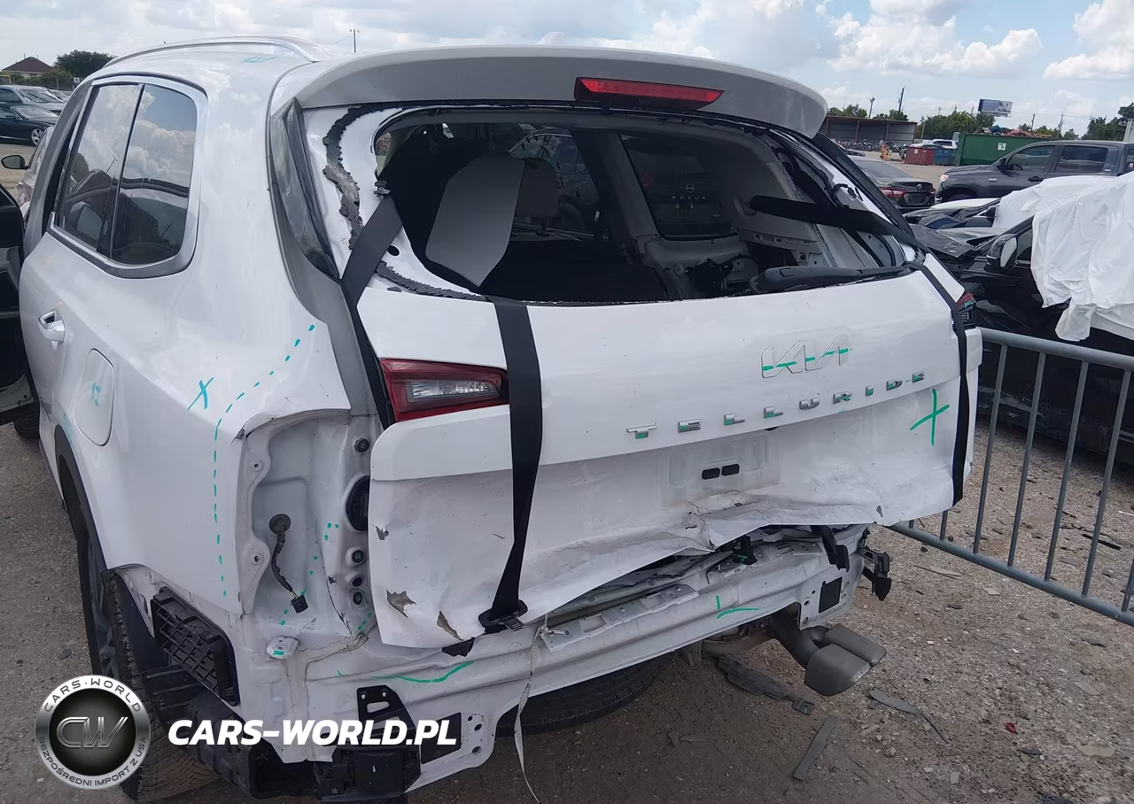 2022 Kia Telluride Sx VIN:5XYP54HC0NG311127 - 6