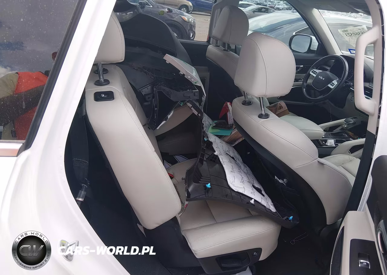 2022 Kia Telluride Sx VIN:5XYP54HC0NG311127 - 8