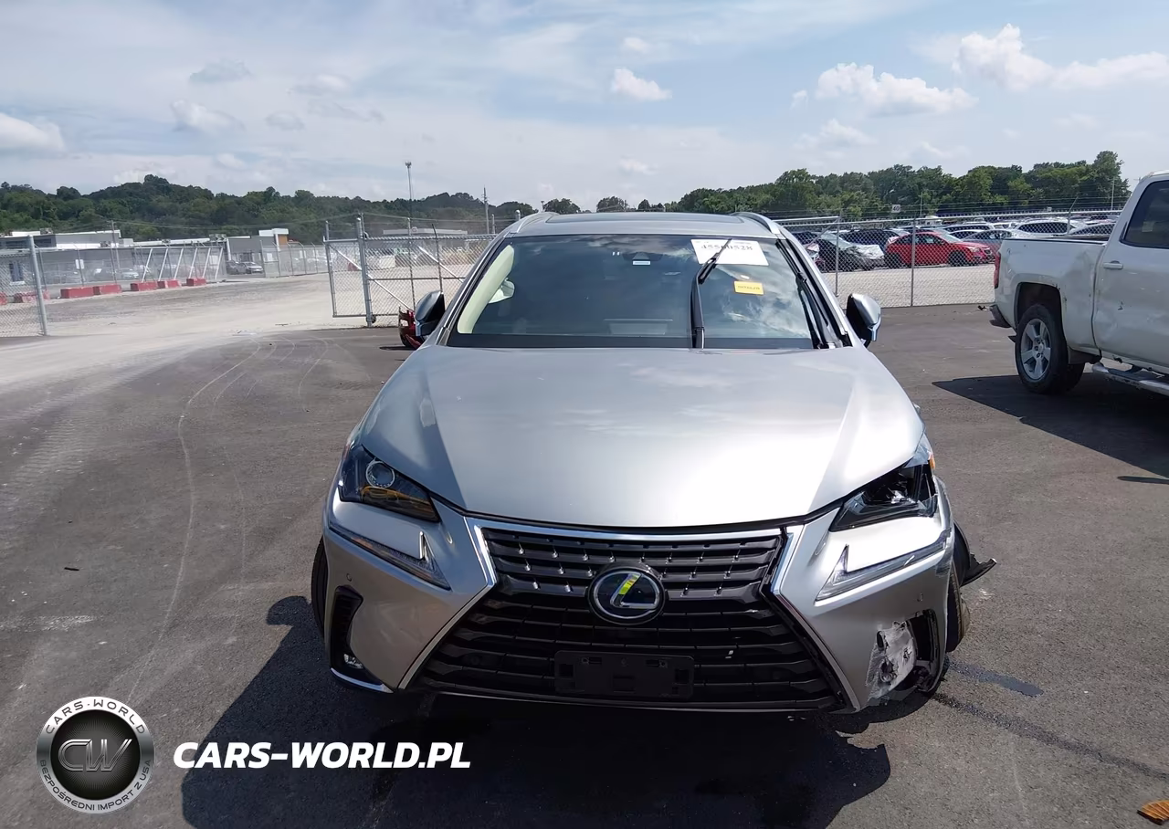 2020 Lexus Nx 300H VIN:JTJGJRDZ2L2127511 - 12