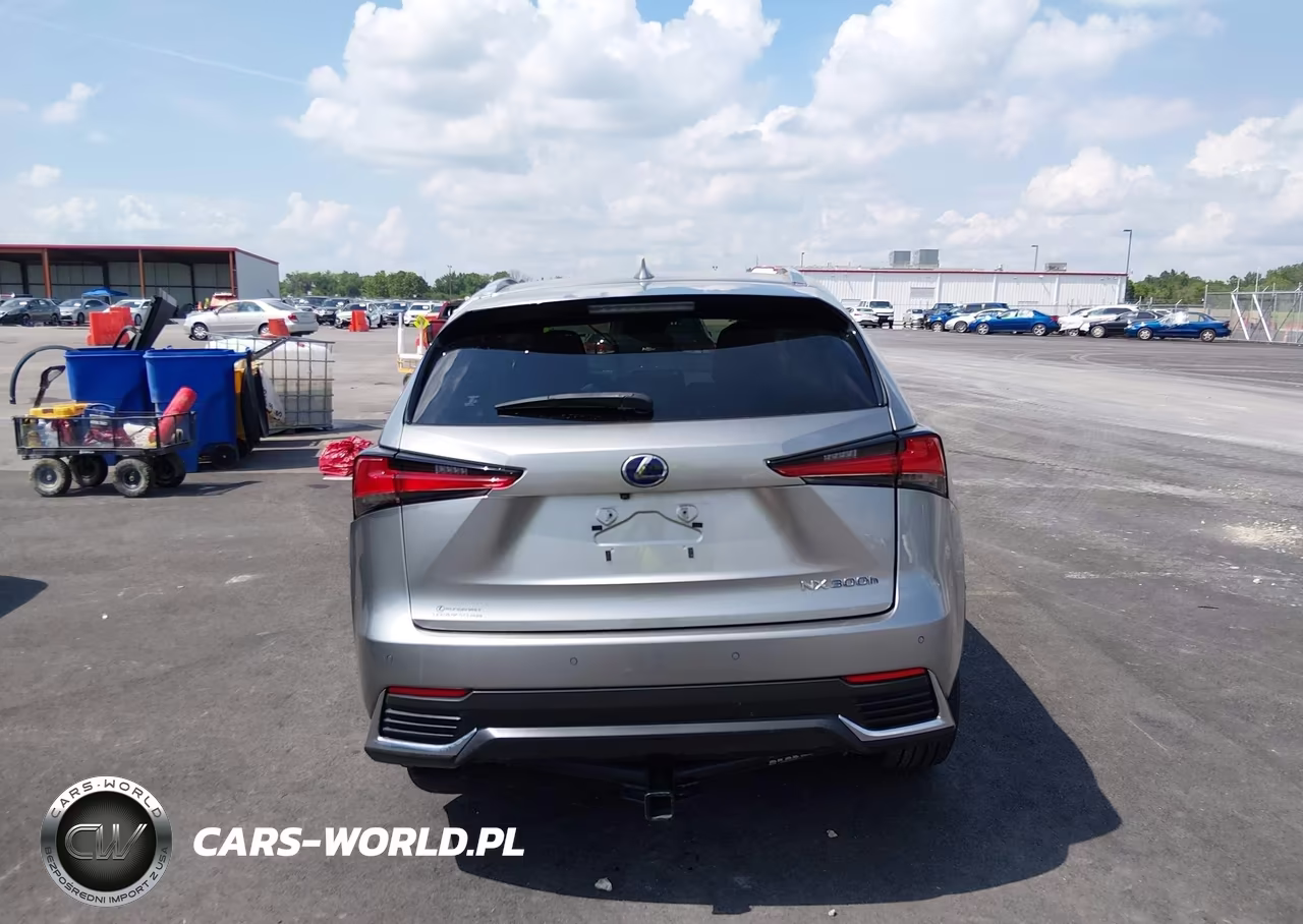 2020 Lexus Nx 300H VIN:JTJGJRDZ2L2127511 - 16