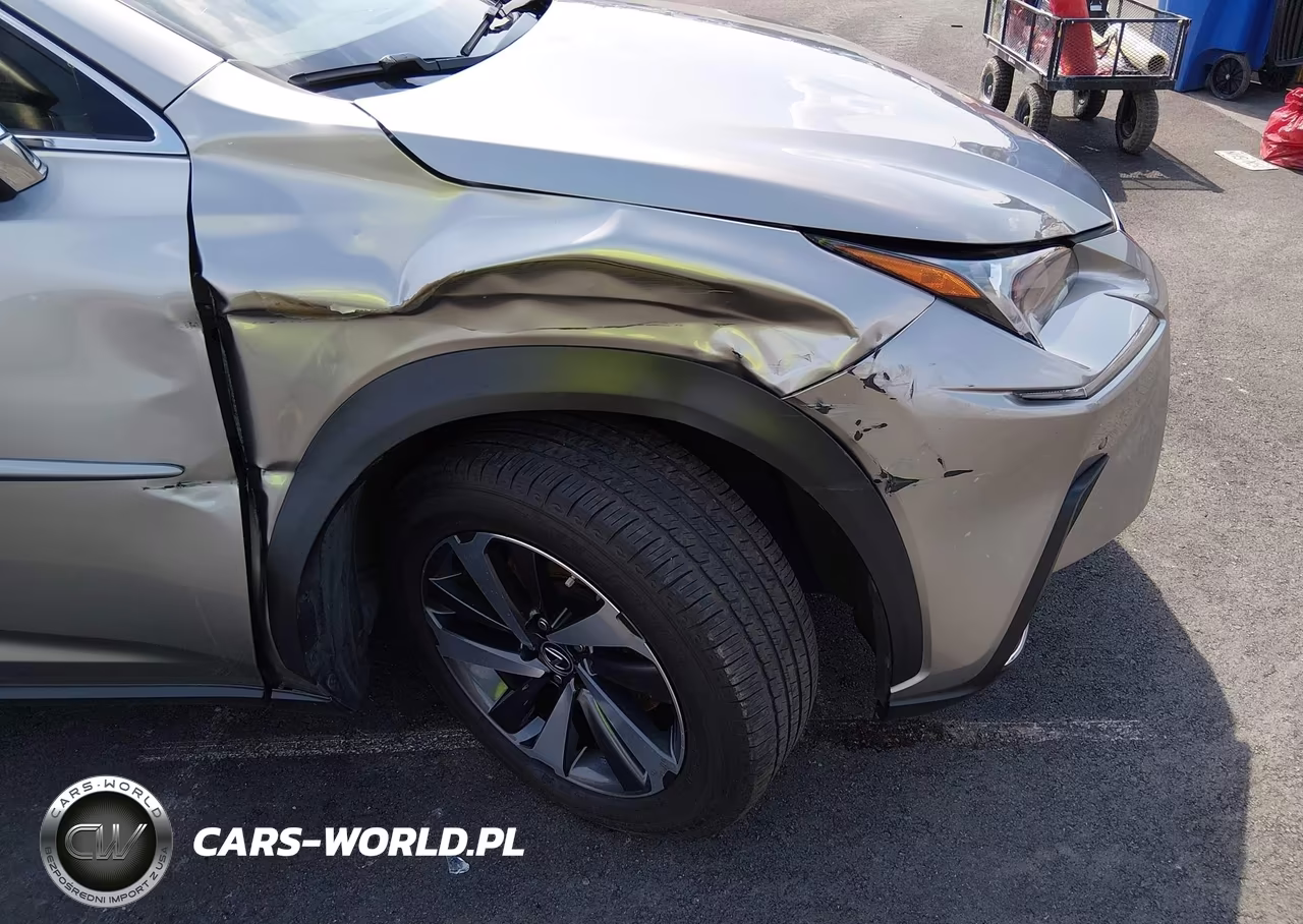 2020 Lexus Nx 300H VIN:JTJGJRDZ2L2127511 - 18