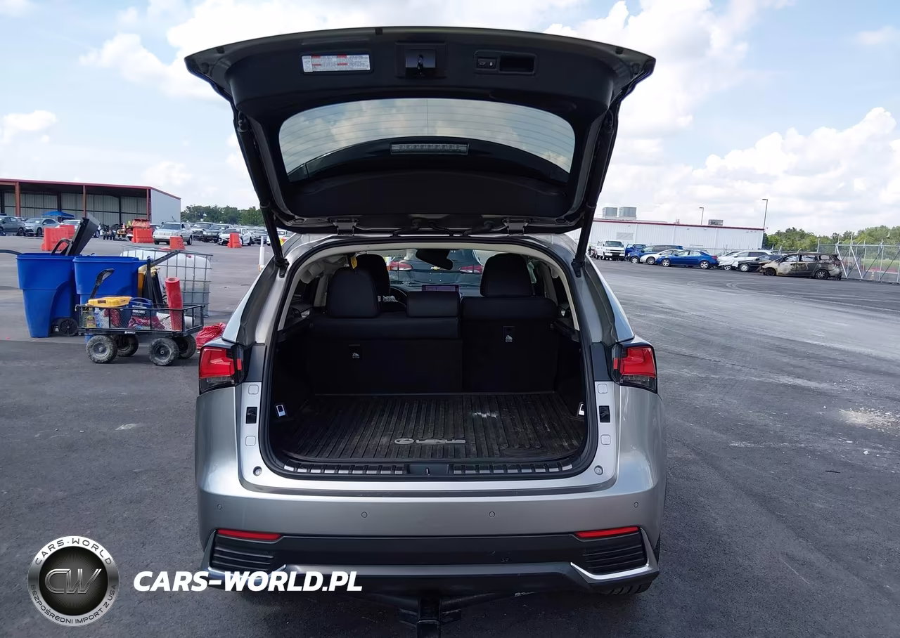 2020 Lexus Nx 300H VIN:JTJGJRDZ2L2127511 - 19