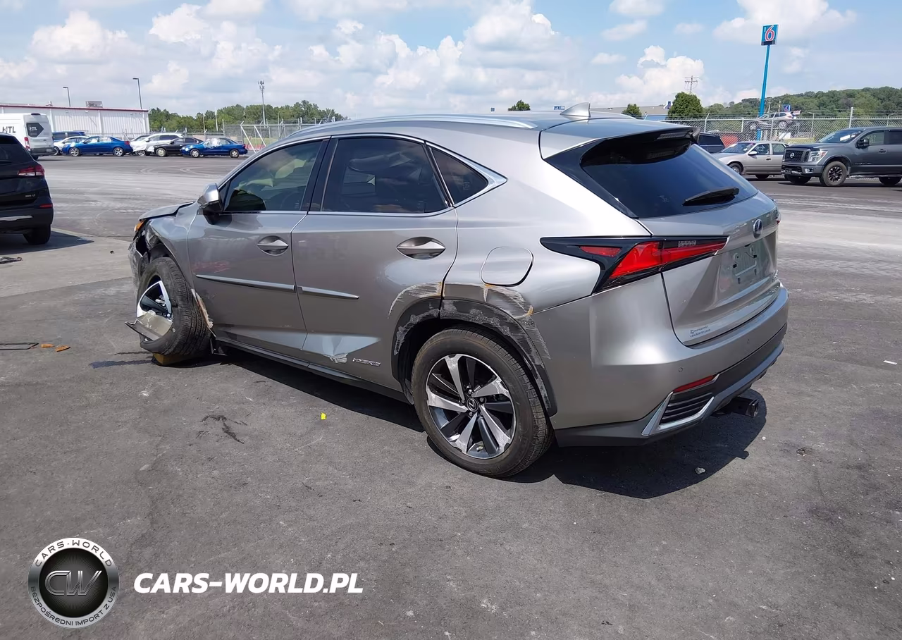 2020 Lexus Nx 300H VIN:JTJGJRDZ2L2127511 - 3