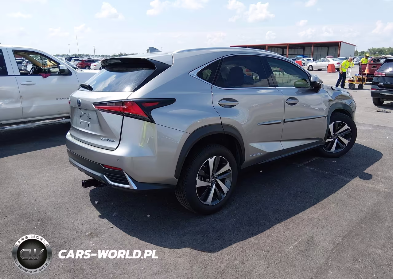 2020 Lexus Nx 300H VIN:JTJGJRDZ2L2127511 - 4