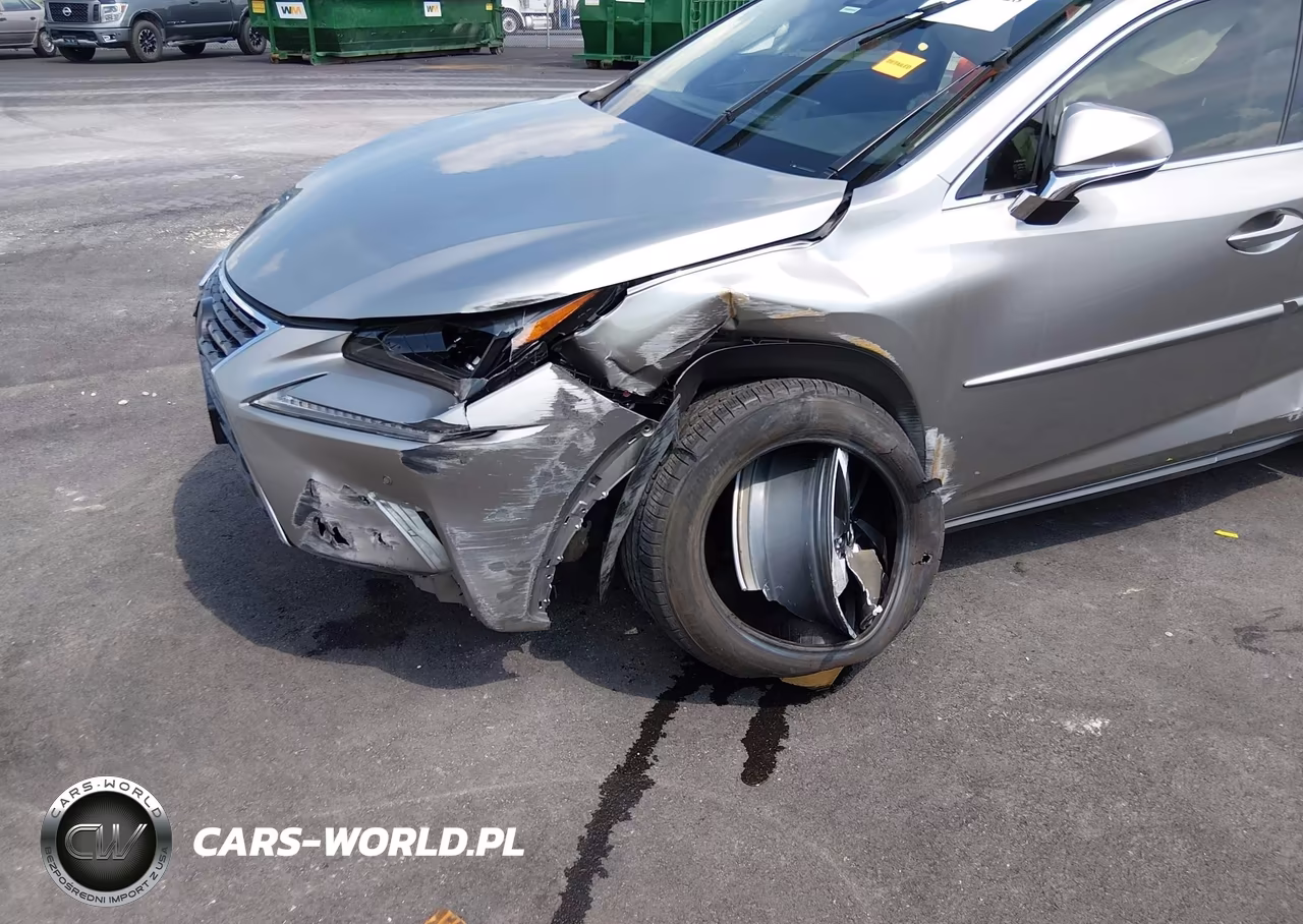 2020 Lexus Nx 300H VIN:JTJGJRDZ2L2127511 - 6