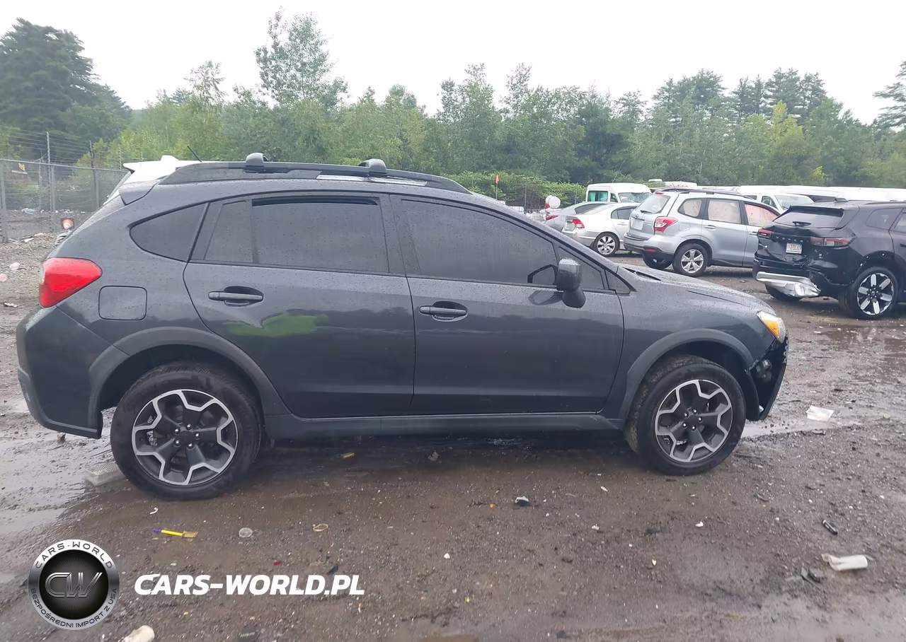 2014 Subaru Xv Crosstrek 2.0I Premium VIN:JF2GPAVC1E8346877 - 12