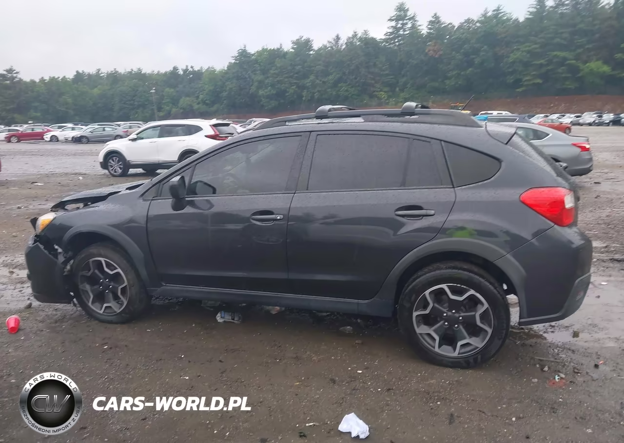 2014 Subaru Xv Crosstrek 2.0I Premium VIN:JF2GPAVC1E8346877 - 13