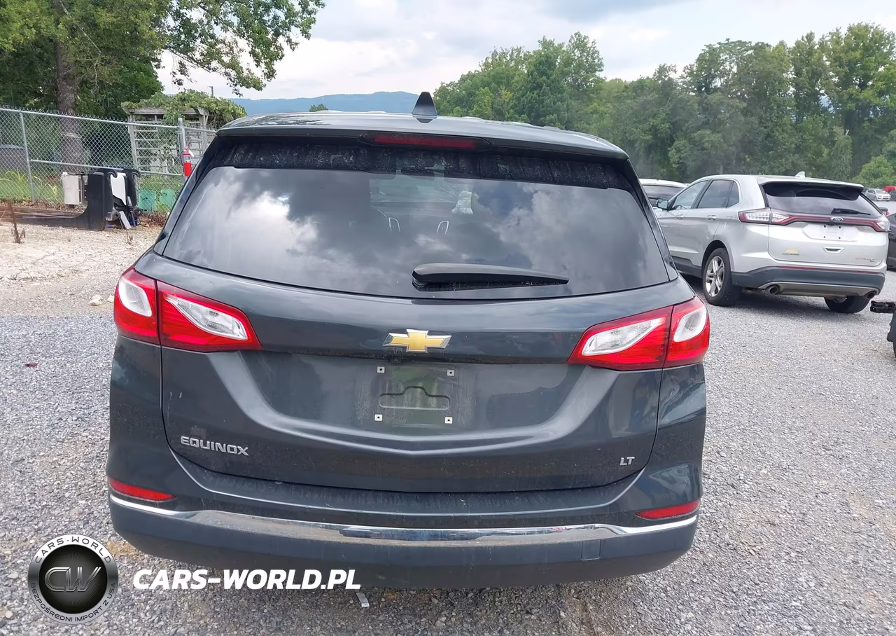 2019 Chevrolet Equinox Lt VIN:2GNAXKEV8K6199297 - 16