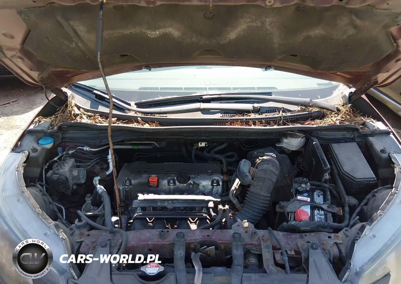 2013 Honda Cr-V Lx VIN:5J6RM4H39DL078387 - 10