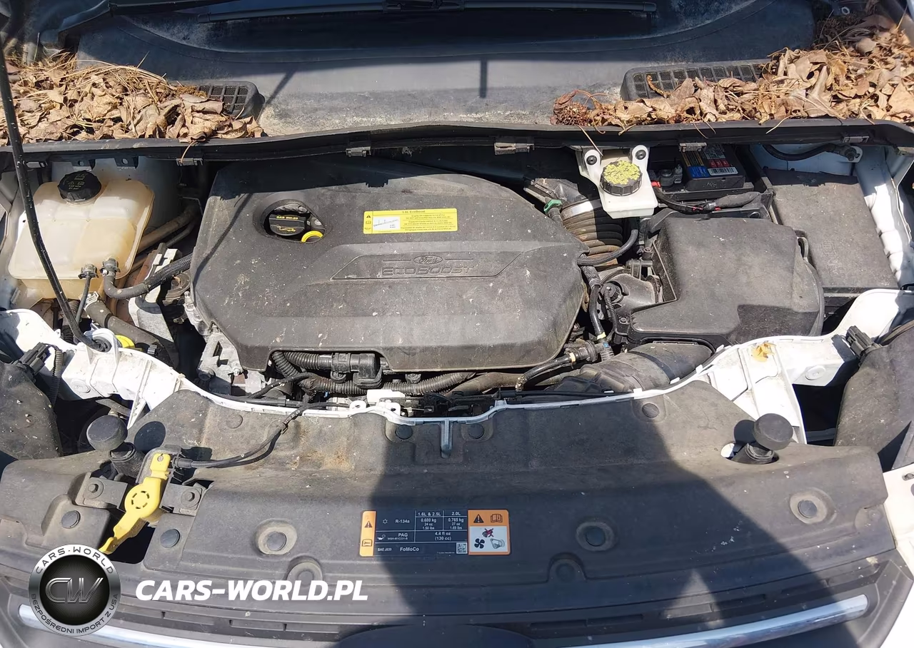2014 Ford Escape Se VIN:1FMCU0GX9EUD10065 - 10