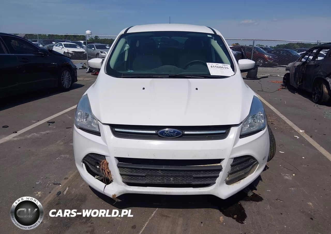 2014 Ford Escape Se VIN:1FMCU0GX9EUD10065 - 12