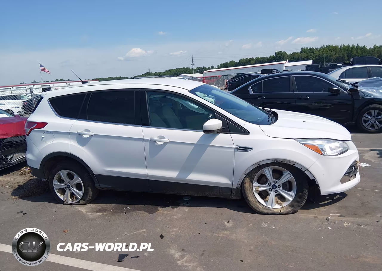 2014 Ford Escape Se VIN:1FMCU0GX9EUD10065 - 13