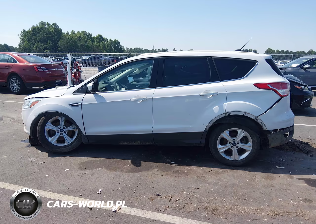 2014 Ford Escape Se VIN:1FMCU0GX9EUD10065 - 14