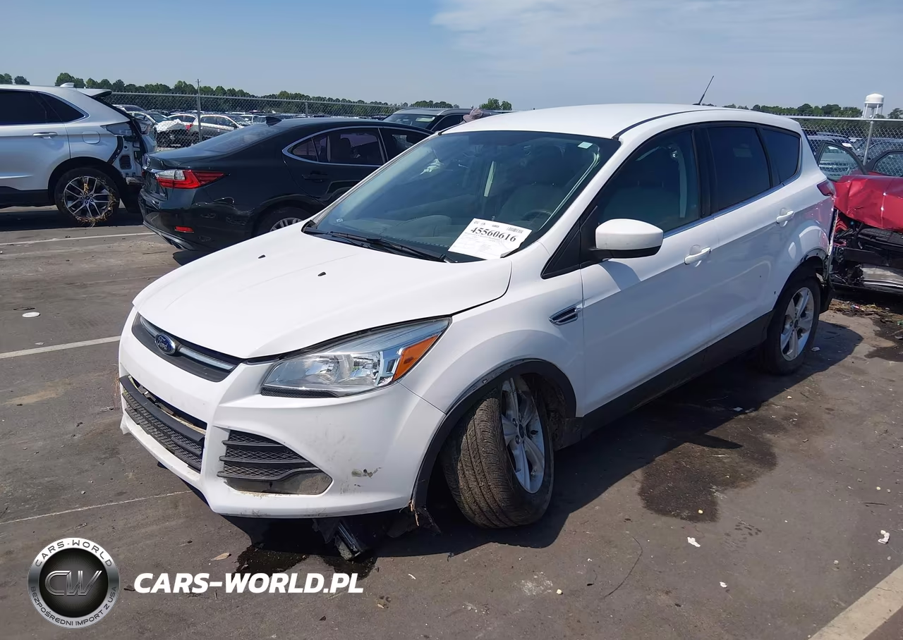 2014 Ford Escape Se VIN:1FMCU0GX9EUD10065 - 2