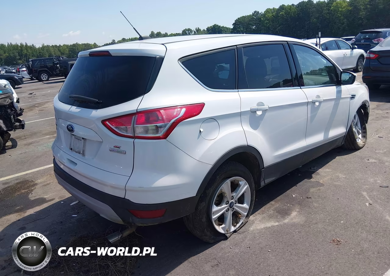 2014 Ford Escape Se VIN:1FMCU0GX9EUD10065 - 4