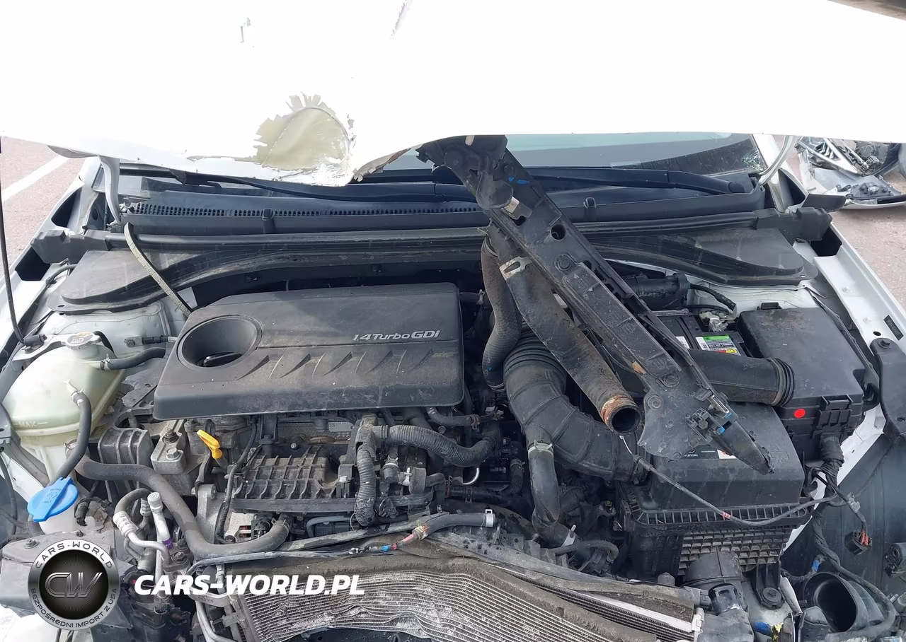 2020 Hyundai Elantra Eco VIN:5NPD94LA8LH561377 - 10