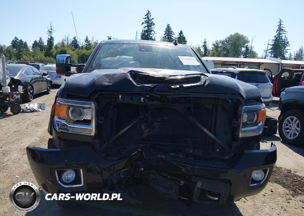 2018 GMC Sierra 2500Hd Denali VIN:1GT12UEY5JF227803 - 12