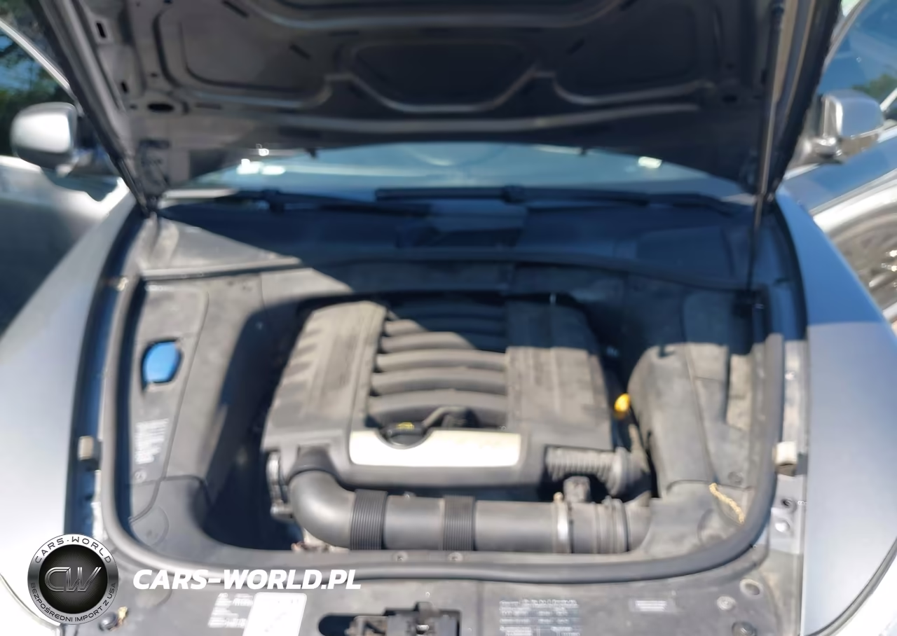 2009 Porsche Cayenne VIN:WP1AA29P09LA02449 - 10