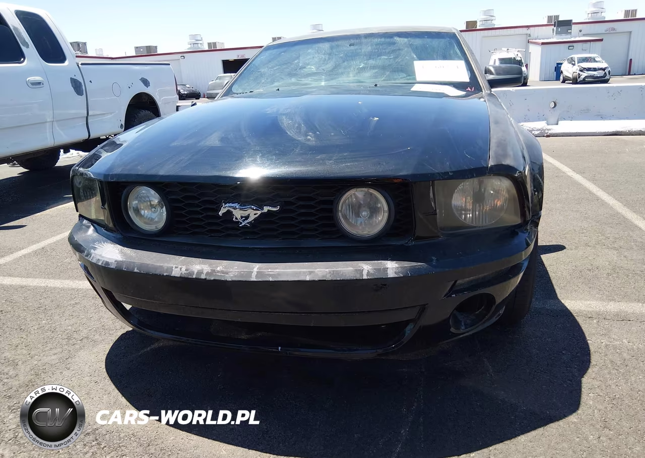 2006 Ford Mustang Gt VIN:1ZVFT82H165214975 - 12