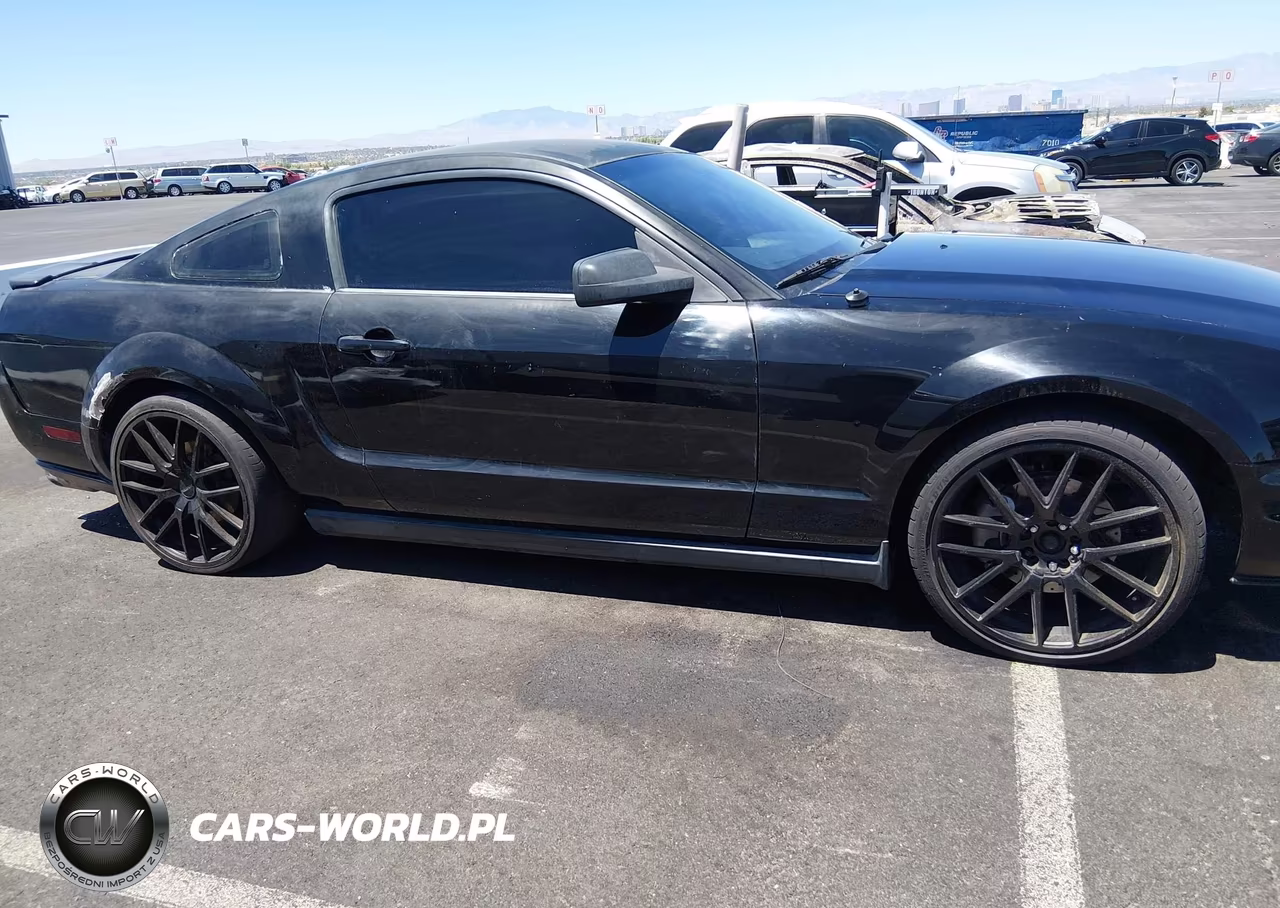 2006 Ford Mustang Gt VIN:1ZVFT82H165214975 - 13