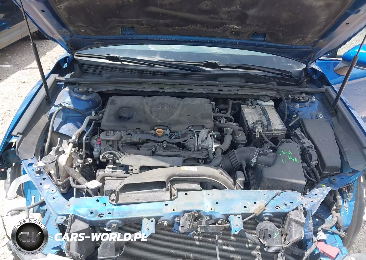 2019 Toyota Camry Xse VIN:4T1B61HK1KU251409 - 10