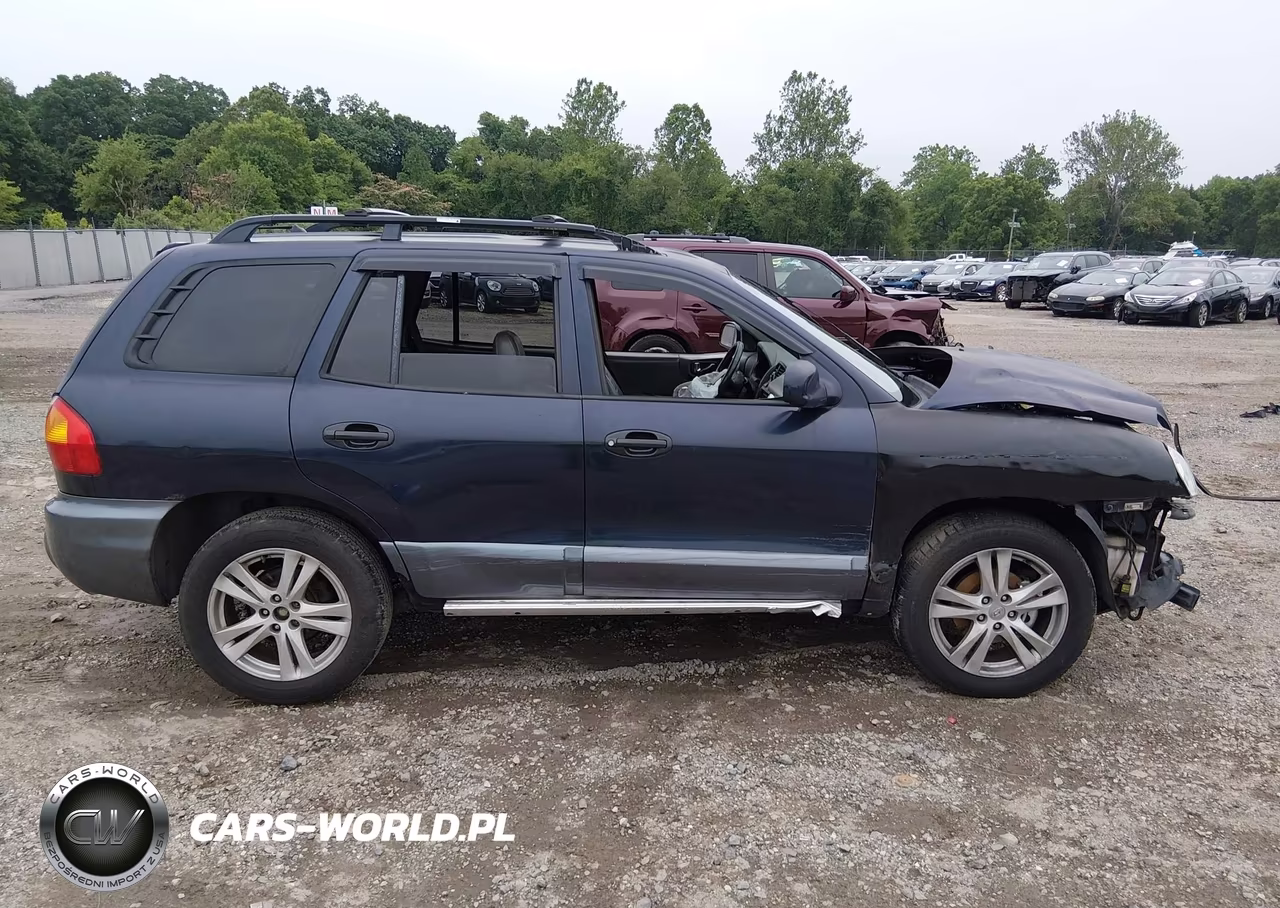 2004 Hyundai Santa Fe Gls-Lx VIN:KM8SC13EX4U797722 - 13