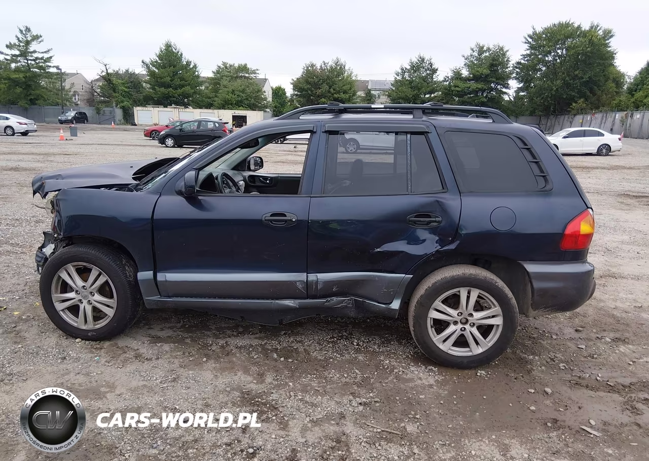 2004 Hyundai Santa Fe Gls-Lx VIN:KM8SC13EX4U797722 - 14